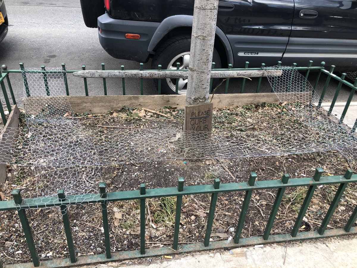 east 6th street has a group of planters draped in drooping swaths of chicken wire with signs that implore in English and Spanish “no trash, no tires, no butts, please curb your dog”. the whole effect is very Harmony Korine.