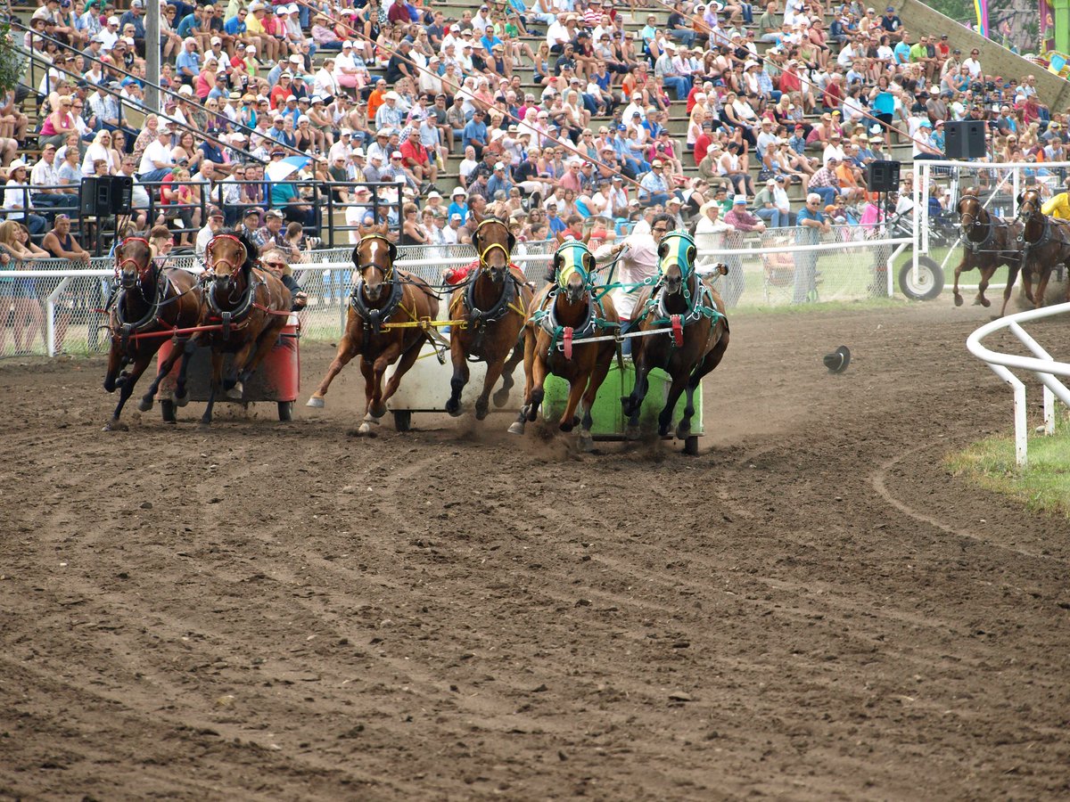 Thundering hooves gets everyone on the edge of their seat! 
The Pony Chariots are back for three days of racing excitement for the 2019 Vermilion Fair. Please watch our schedule for time changes to the chariots on Thursday only.
#vtownfair #vermag #ponychariots #offtotheraces