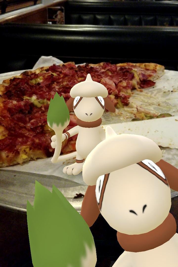 melloskitty's tweet photo. Happy Tuesdaze, Furriends..😎

I think Smeargle approves!

Pastrami Pizza &amp; Double Dragon Breath.🍕
#pokemongo #smeargle #smearglebomb
#pokemongoAR #snapshotGO https://t.co/WtsT3iLD2J