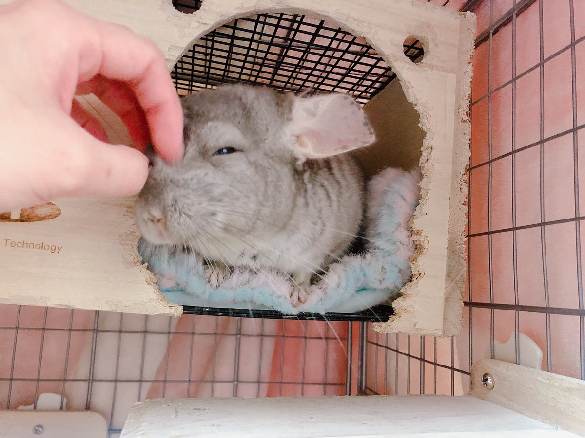 okgcn_kn's tweet photo. \\ふぁ〜眠っ😴僕は元気です🌱// https://t.co/nHDutuIVQW