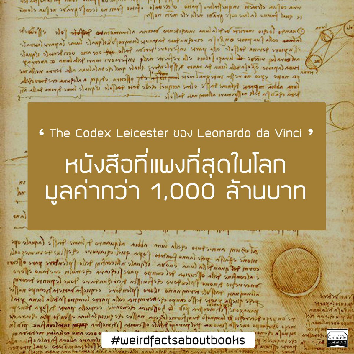 เรื่องแปลกแต่จริงของหนังสือ 

: " The Codex Leicester โดย Leonardo da Vinci หนังสือที่แพงที่สุดในโลก มูลค่ากว่า 1,000 ล้านบาท! "

#weirdfactsaboutbooks

หนังสือสุดยอดมหาความแพงเล่มที่ว่านี้ก็คือ “The Codex Leicester” เป็นบันทึกของ‘ลีโอนาโอ ดา วินชี’ 

m.facebook.com/story.php?stor…