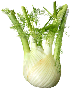 sounddietitians's tweet photo. Have you ever tried #fennel before? This vegetable has a crisp, crunchy texture, similar to celery & has a mild taste of anise or licorice 😋 Check out our latest post to learn more! #soundnutrition https://t.co/x45sOMttSk https://t.co/iWilm0A8sy