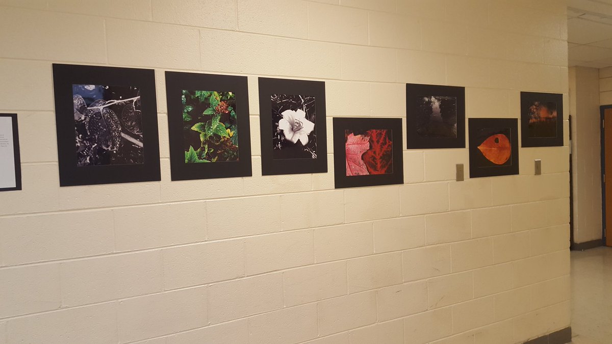 MsFarnesi's tweet photo. Art 3's Artwork is officially up and around the school! #wilkinsjh1 #isd109 #d109pride #schoolgallery #ArtsEd https://t.co/vrrQTequLN
