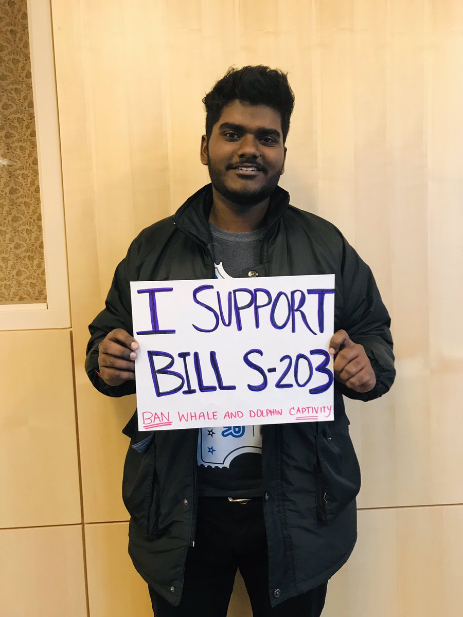 AnimalTru's tweet photo. Members of the legal community support #BillS203 #cdnpoli Captivity is cruel @FinDonnelly @avalonMPKen @MelArnoldMP @blainecalkinsmp @PatFinniganMP @KenHardie @MorrisseyEgmont @ChurenceRogers @AnimalJustice https://t.co/N6I2NPC5wL