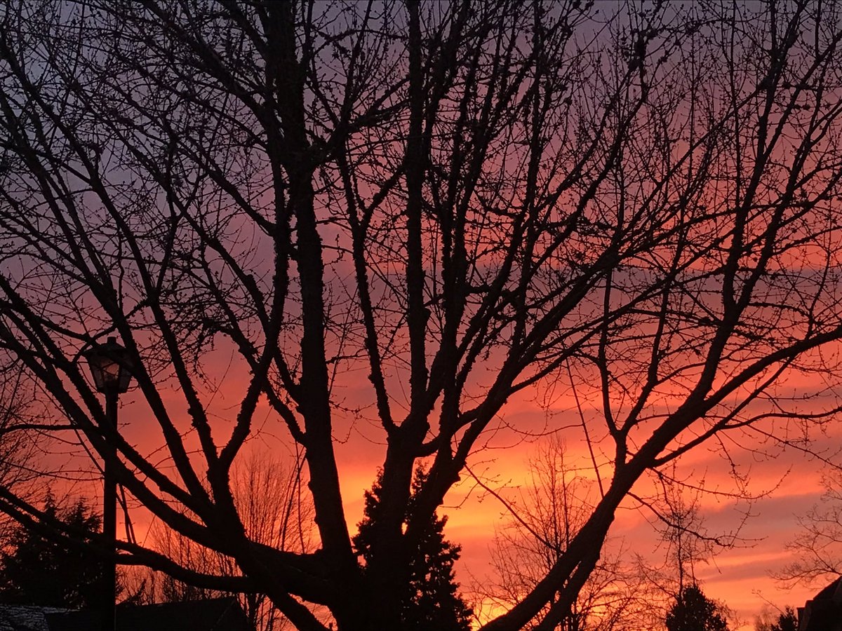 alynmc's tweet photo. Beautiful #pdx #sunset #winter https://t.co/poIIK8mZmH