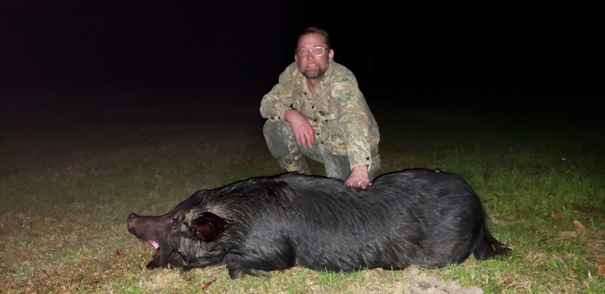 Hellholehunter's tweet photo. #hoghunting  Hellhole swine right in the back yard. 172lb sow. This one won't be rooting up the yard any more. https://t.co/8uzlTGns5W
