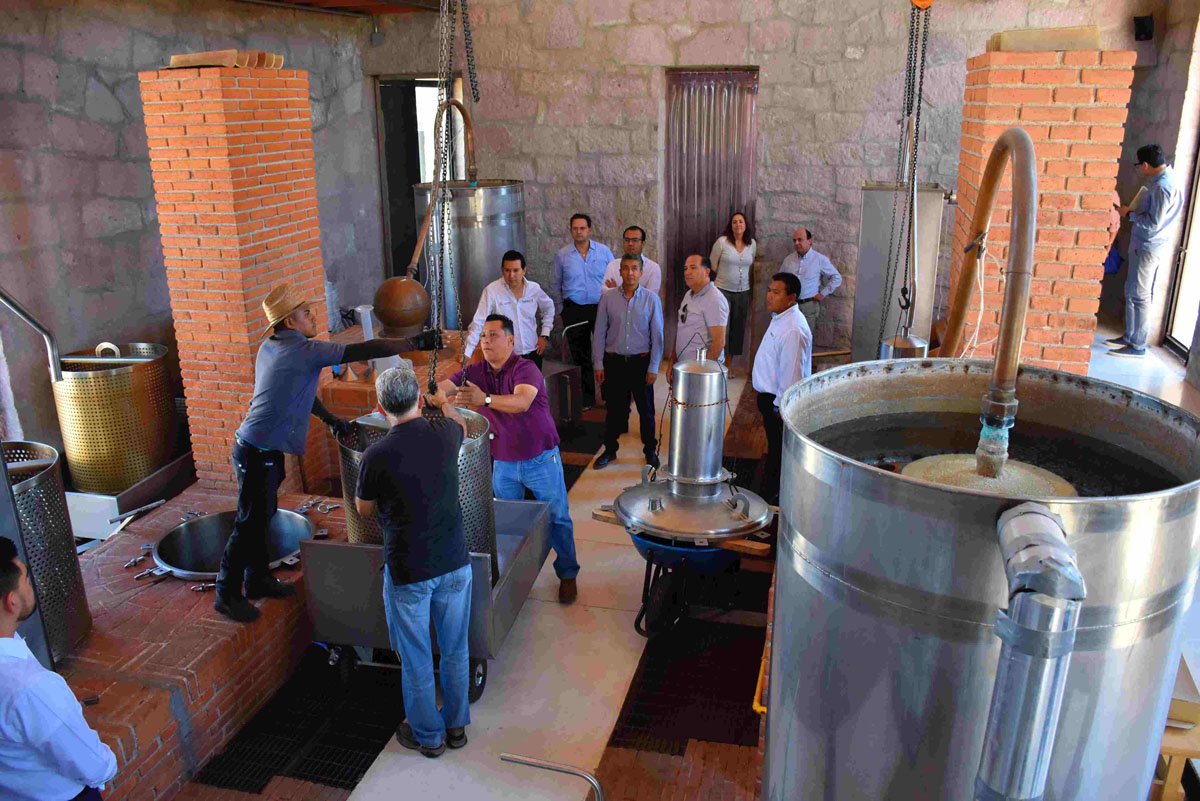 DiarioMarcaOax's tweet photo. Estrechan @IMPI_Mexico y #Oaxaca lazos de colaboración para la protección de Denominación de Origen del Mezcal y Café https://t.co/exVnHqc4Qn | https://t.co/X2EWiWba5w