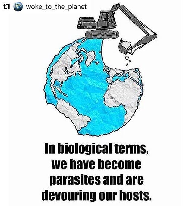 indisutras's tweet photo. Did you know out of the top ten most polluted cities in the world nine of them are in India? 🇮🇳
.
Each year more than 4.6 million people die globally due to air pollution! ☠
.
Air pollution is a huge issue which needs to be taken seriously 🌍 .
#getwo… https://t.co/VfEaLgUJvY https://t.co/oyOT0PqEjy