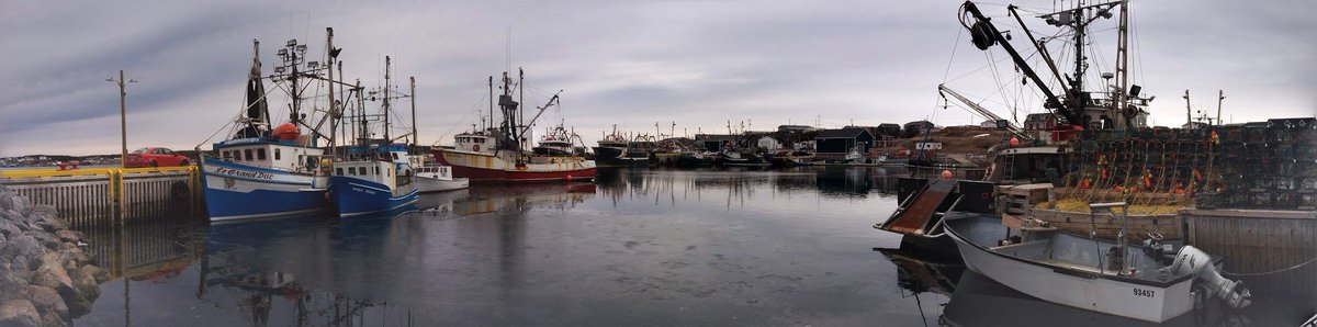 omega64's tweet photo. Beautiful boats Port Aux Choix NL https://t.co/VWBoiOXl3N