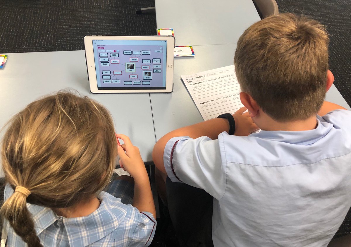 MrsAskinTweets's tweet image. We are working collaboratively to write information reports. We used ⁦@poppletny⁩ to brainstorm our ideas. #LearningatOC