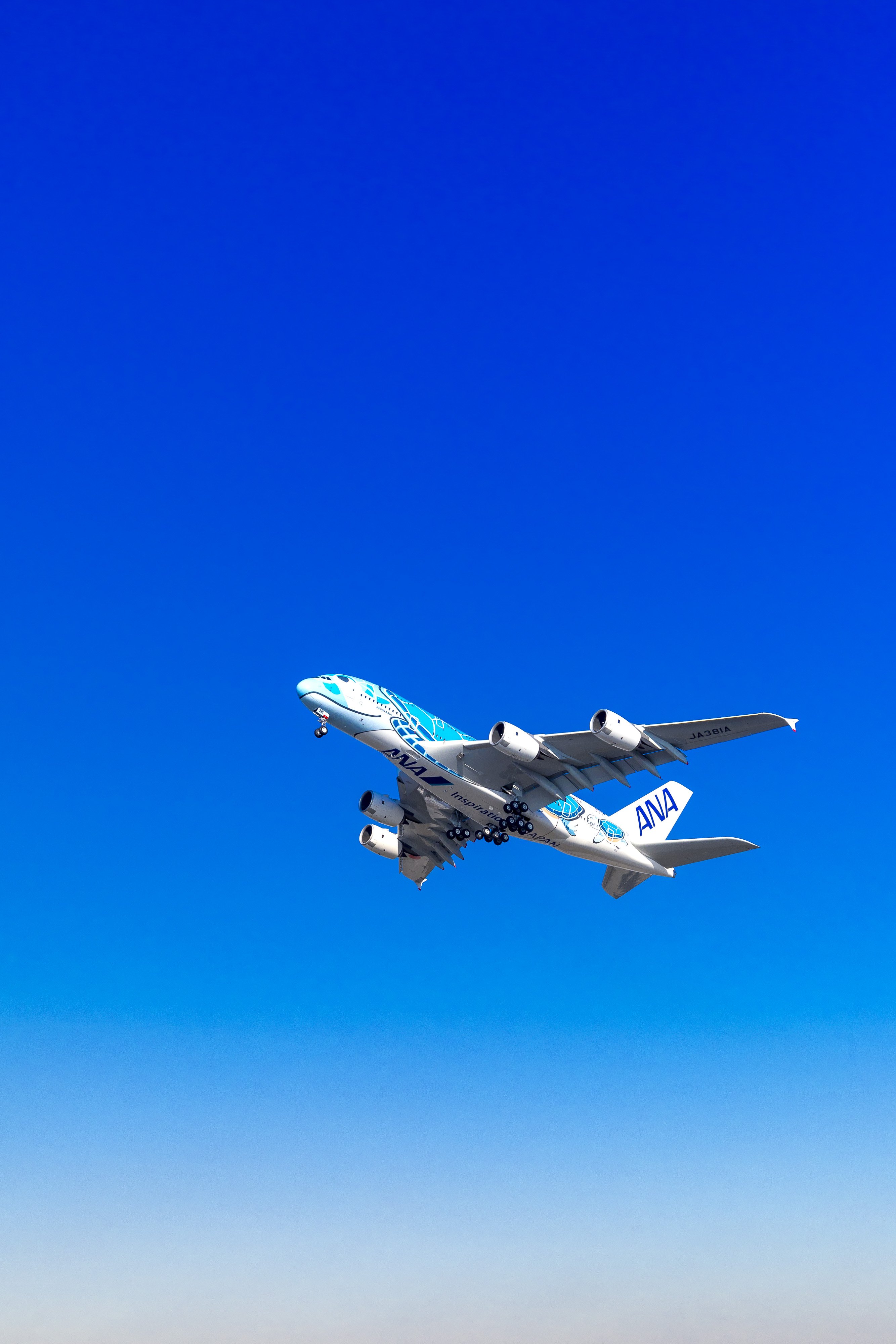 All Nippon Airways on X: All Nippon Airways on X: