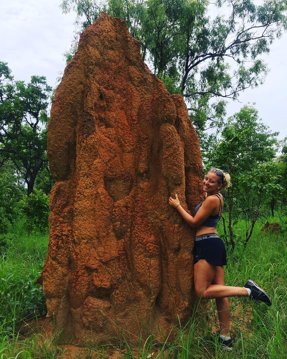 litchfieldnp's tweet photo. 📷: IG: jasmine.lindsay 
Tag your favourite Litchfield images #LitchfieldNationalPark to be featured!  
Selected by: @danykelly 
And remember, it's always a good time to  #GetLostinLitchy 😎 https://t.co/0mbPrU8nJr https://t.co/rHiw3NaWua