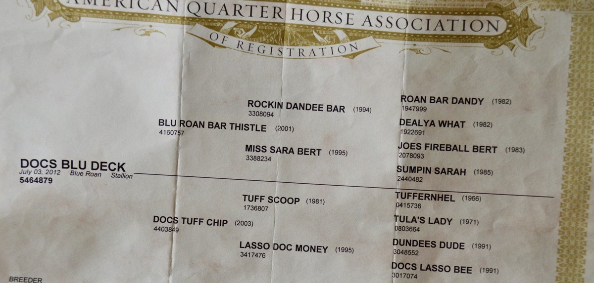 Found this jaw dropping blue on ranch ads. Now will someone kind sugar (whatever) loan the 10 grand hahaha.