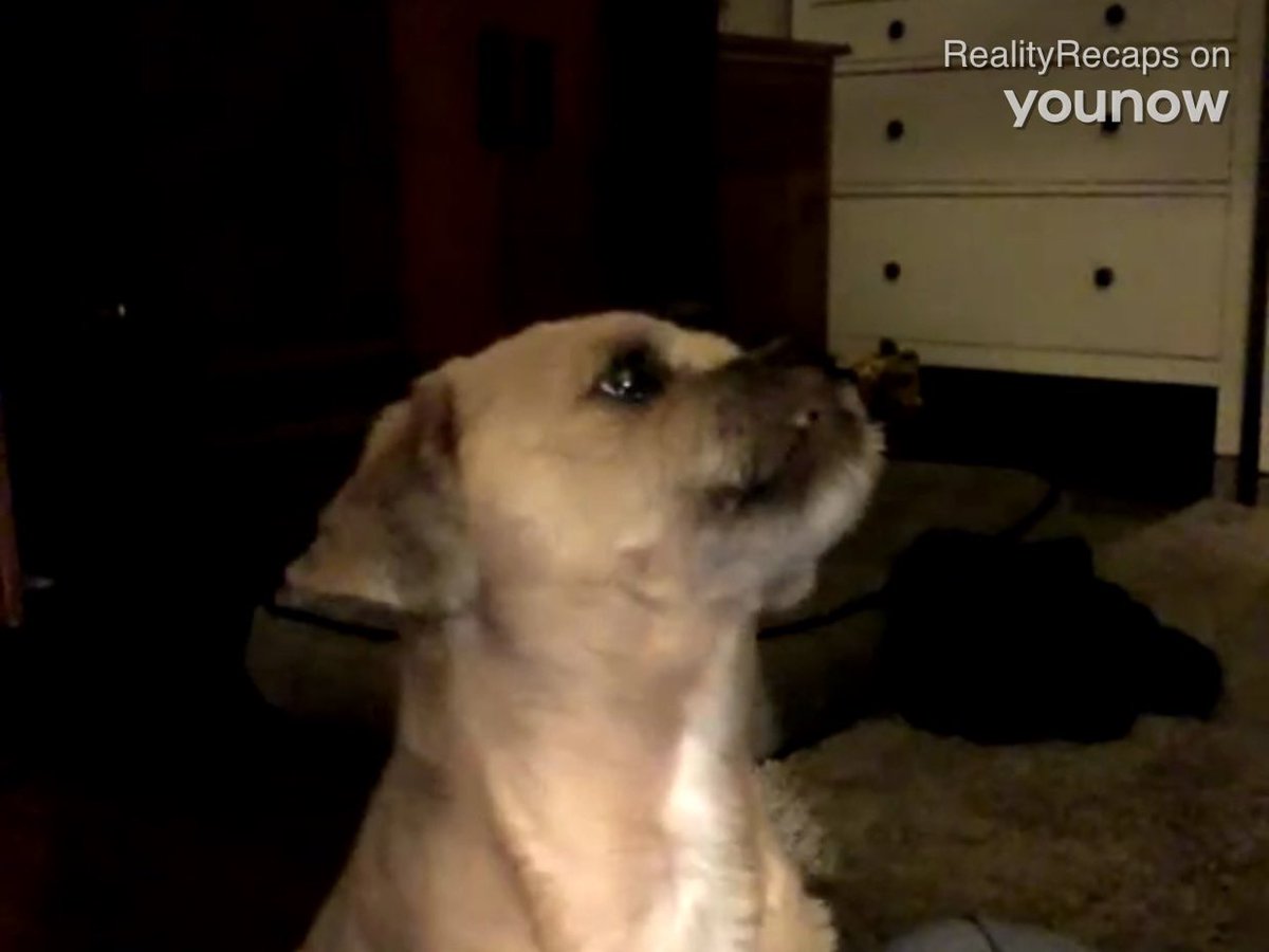 SammiValone's tweet photo. 🔴 LIVE @RealityRecaps on #YouNowcome see Charlie! https://t.co/KG0yYPfuOF