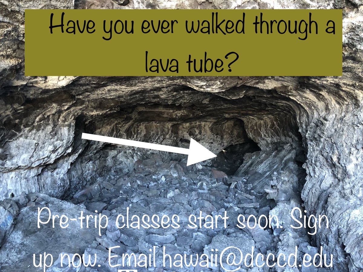 nlchfs's tweet photo. @nlchfs @northlakenow @dcccd @coppell_isd #nlchfs2019 #hawaii #photography #biology #geology #summer #beach #snorkeling #hiking #sun #wanderlust https://t.co/A6ObT3CkjI