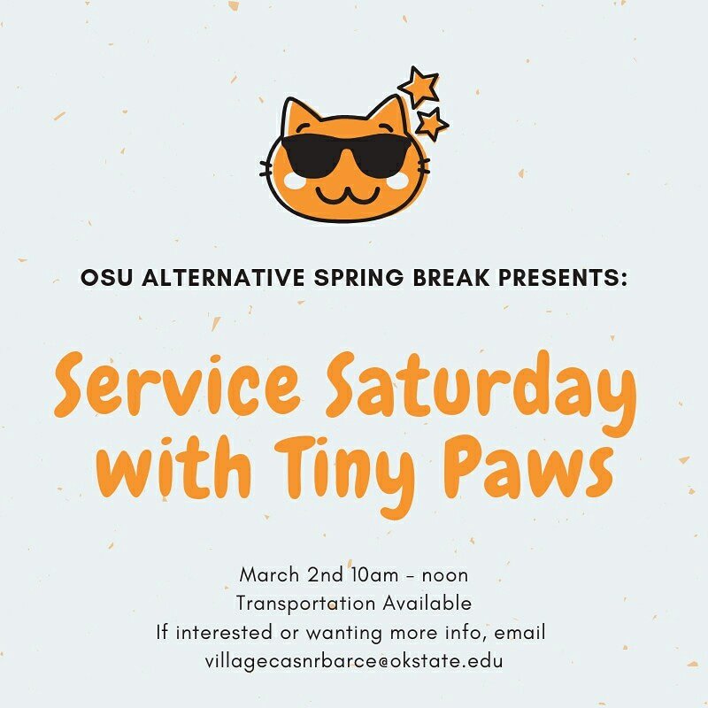 ASBOkstate's tweet image. Join us this Saturday at @_tinypaws and hang out with kittens! Transportation is provided, please sign up by emailing villagecasnrbarce@okstate.edu! #servicetrip #servicesaturday #okstate