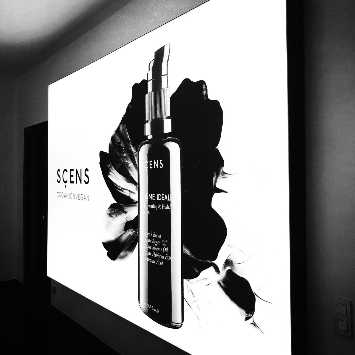 Felices de la Nueva entrada de nuestras instalaciones en el corazón de #barcelona. Felices de crecer junto a nuestros clientes.