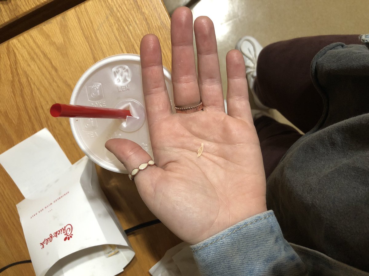 Sarah___Renee's tweet photo. @ChickfilA OKAY I don’t know if this is half of a lemon seed or A FREAKING FINGERNAIL but could you try to imagine the HORROR while tasting it in a big gulp of lemonade? SMH https://t.co/E1TBpGExpW