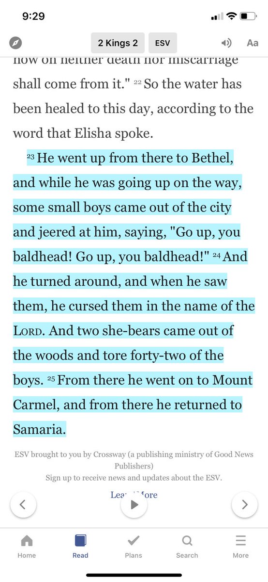 claire_lauren75's tweet photo. Things I’ve learned from the Old Testament: Do not tease anyone. You never know when a she-bear will attack. 
(Also google cartoon pictures of this verse. It’s amusing.) (Second also. I love how nonchalant the rest of the chapter is..) https://t.co/vAmMd6j7F0