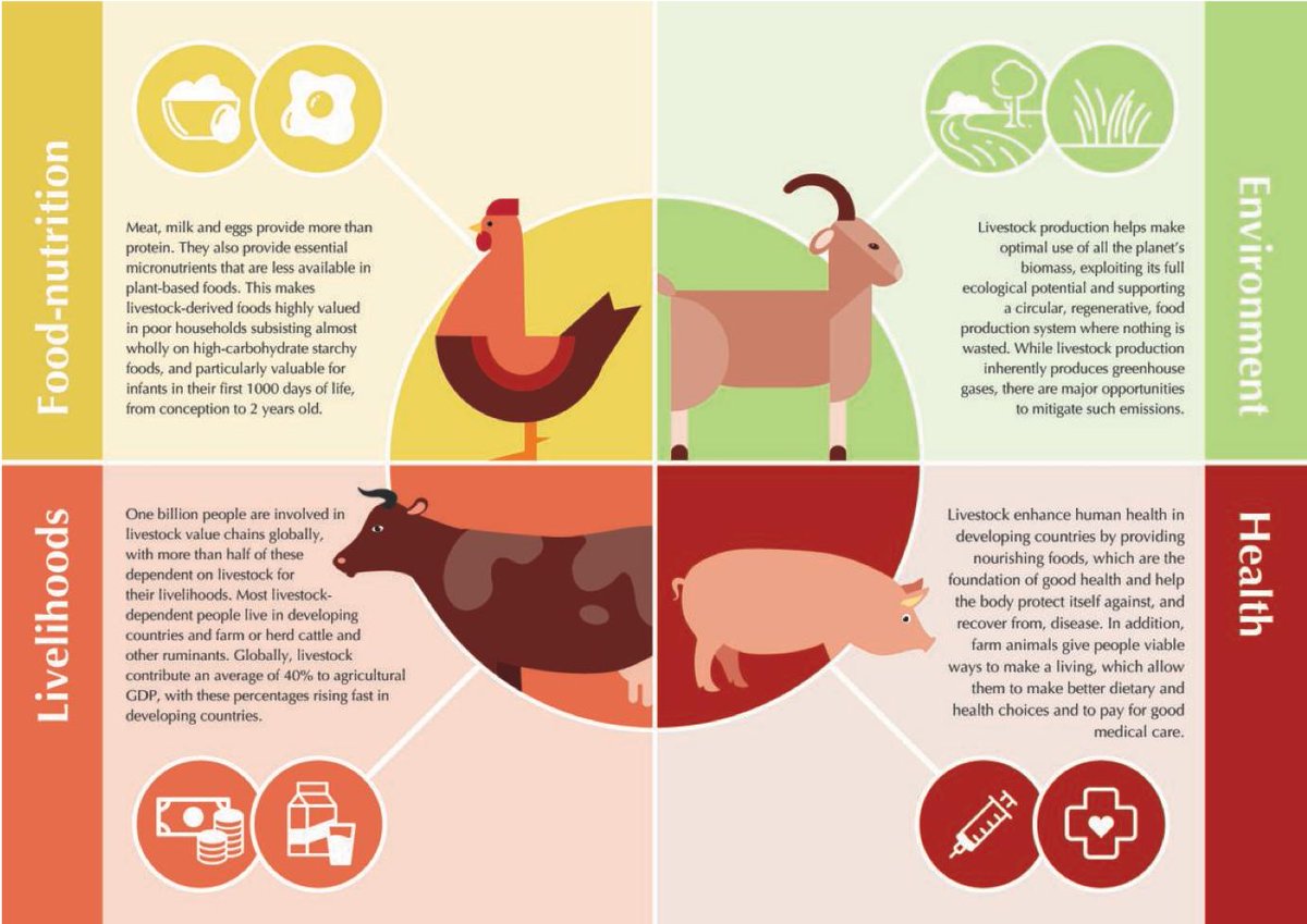 Consider livestock not as a problem to be solved but as an essential part of the solution to our protein &amp; other needs.
—<a href="/ILRI/">ILRI.org</a>-<a href="/wef/">World Economic Forum</a> white paper on Meat: The Future
bit.ly/2IBX0JW  <a href="/BMZ_Bund/">Bundesentwicklungsministerium</a> @BruBriefings <a href="/CanadaDev/">Development Canada</a> @CIRAD <a href="/CSIROnews/">CSIRO</a> <a href="/dfat/">Department of Foreign Affairs and Trade 🇦🇺</a>
<a href="/DFID_UK/">DFID</a> #WhyLivestockMatter