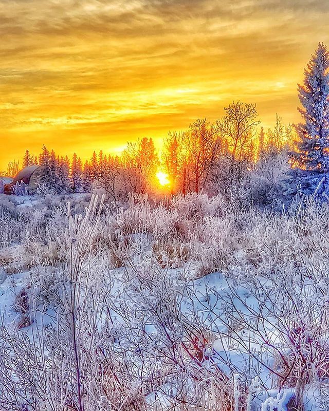 Stephanie_Pipke's tweet photo. Tonight was photo club night and our theme was sunsets. Here's a frosty sunset from earlier this yearπ .
.
.
.
.
.
.
#lifeisyourstyle #blogger #sunsets #sasksunsets #winterscenes #winter #wintersunset #photoaday #photooftheday #photography https://t.co/IClaPtPOC8 https://t.co/70rRkCgwdK