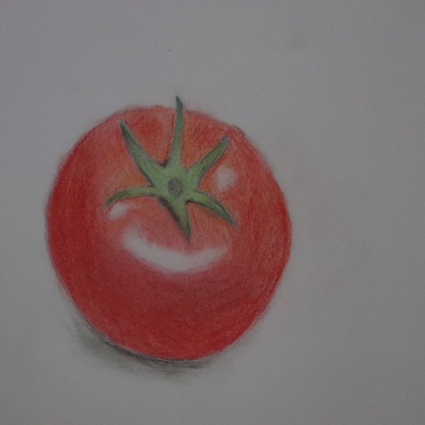 選択した画像 トマトの絵 653716トマトの絵の描き方