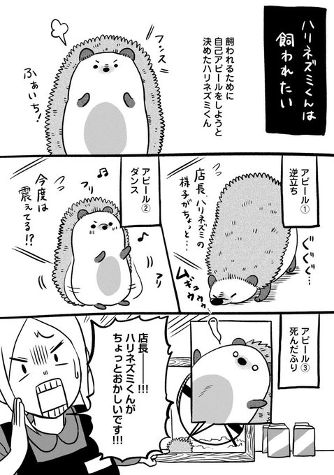動物マンガ を含むマンガ一覧 ツイコミ 仮