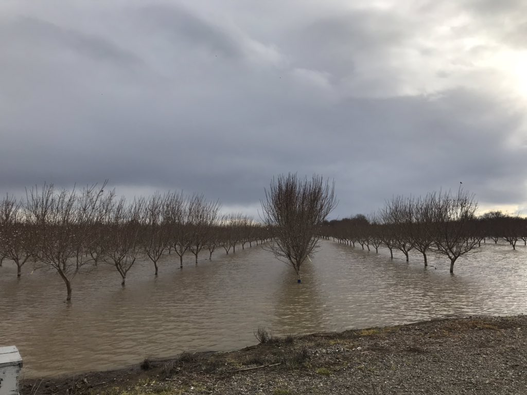 HighLake_Lee's tweet photo. @almondgirljenny Don’t rub it in.... #norcal https://t.co/h3uDR1zE0D