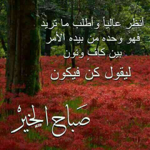 Noor Al Ashikin V Twitter أمالي الصدوق عن الصادق عليه السلام قال قال رسول الله صلى الله عليه وآله أحسن زينة الرجل السكينة مع إيمان 7 83 باب التدبير