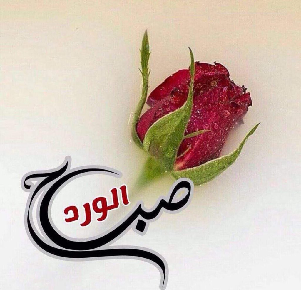 اقْتَرِبْ.. مِمَّنْ يَفْتَحُونَ فِي روحِكَ نوَافذ مَنْ نَوَر يَقُولُونَ لَكَ أَنّهُ فِي وُسْعِكَ أَنْ تُضِيءَ الْعَالَم ♡ᴶᵒ

         صـــِبُأِحّ أَلـْﯞَورّد ♡ᴶᵒ