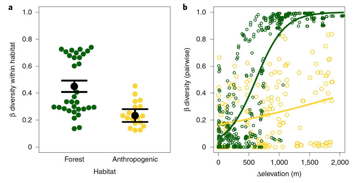 Luke Mahler (@luke_mahler) on Twitter photo The first paper from my lab's massive mark-resample project on anoles was just published in NEE. Congrats to lead author <a href="/LOFrishkoff/">Luke Owen Frishkoff</a>. Check it out! <a href="/eebtoronto/">University of Toronto EEB</a> <a href="/UofTArtSci/">U of T Arts & Science</a> nature.com/articles/s4155… The first paper from my lab's massive mark-resample project on anoles was just published in NEE. Congrats to lead author <a href="/LOFrishkoff/">Luke Owen Frishkoff</a>. Check it out! <a href="/eebtoronto/">University of Toronto EEB</a> <a href="/UofTArtSci/">U of T Arts & Science</a> nature.com/articles/s4155…