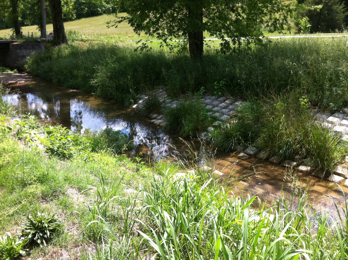 ThePipelineMon's tweet photo. Vegetation is crucial to protecting #pipelines from becoming exposed.
#erosioncontrol #submar #submarinc #construction #engineering
https://t.co/Y7nchK7rGq https://t.co/vheWKYrLJE