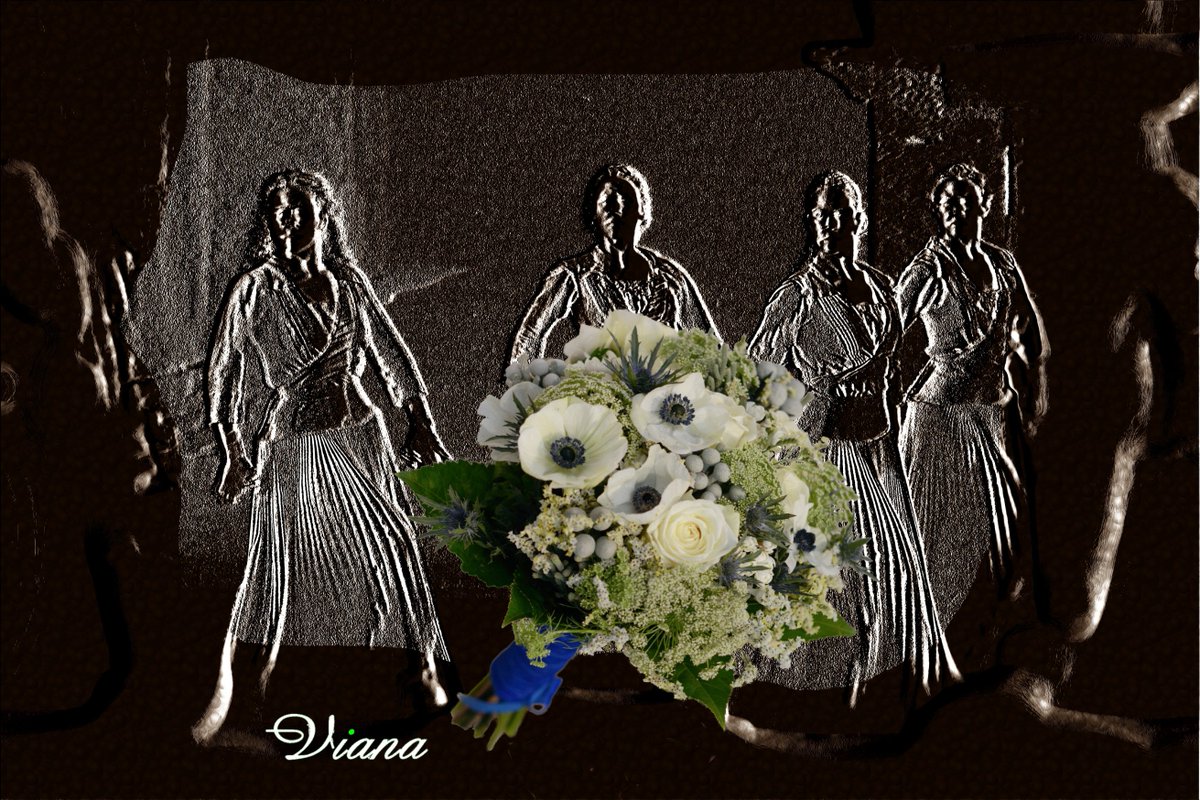 Floristera5's tweet photo. Cuando se ocupa el centro de la atención 
  https://t.co/i5x1703xG2
 #novias2019 #novios2019 #esposas #maridos #amigas #amigos #PorqueRegalarFloresEsUnPlacer #LasFloresSiempreSonUnGranRegalo #MéridaEnamora
 #RamosdeNovias #Ramos #Coronas #Centros #Canastillas  #Abierto365días https://t.co/fZe9JDJjzs