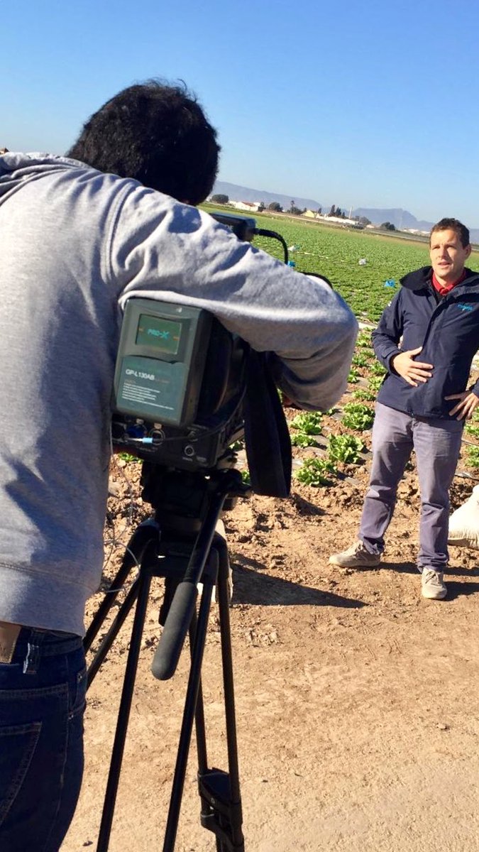 DoWe_Media's tweet photo. Hoy estamos grabando entrevistas y recursos para realizar vídeo-noticias sobre cultivos de espinacas y baby-leaf, para uno de nuestros clientes.

#MuéveteConDoWe #Videomkt #NewsAgriculture https://t.co/JDdkDhgYvk