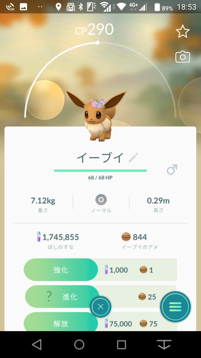 ポケモンgo 花飾りブイズを勢揃いさせるのが最終目標 ポケモンデーは休む暇なし ポケモンgo攻略まとめ速報 ポケモンgo 花飾りブイズを勢揃いさせるのが最終目標 ポケモンデーは休む暇なし ポケモンgo攻略まとめ速報