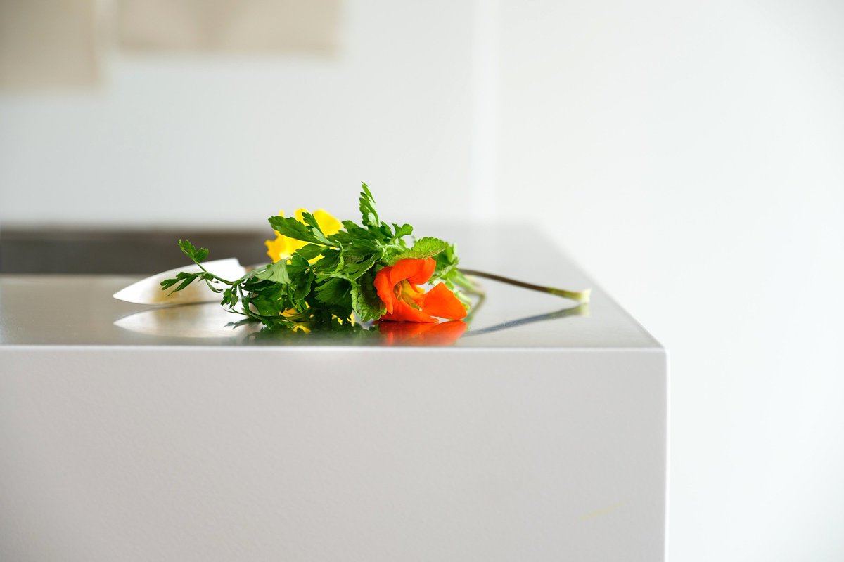 Cada temporada es un viaje, una singladura con reencuentros y despedidas, un  soplo de aire fresco con nuevos retos, proyectos ilusionantes y muchos relatos por contar en cada plato... Quedan horas para cocinar, comer y compartir de nuevo sueños contigo 🌾🌺🌊🥄
#AmarLoQueHaces