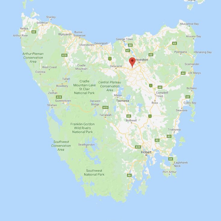 Kim Storey tweet media