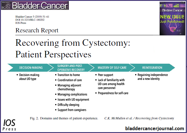 BladderCaJrnl's tweet photo. "Recovering from Cystectomy: Patient Perspectives" by Carmit McMullen, et al. is published in our new issue &amp; is #openlyavailable to view online at: https://t.co/s3AH0X3yYi // #BLCjournal #bladdercancerresearch @CKMcMullen @KPCHR @marilyn_kwan @sgilbert1973 @JoannaBulkley https://t.co/NiqsFZDlBJ