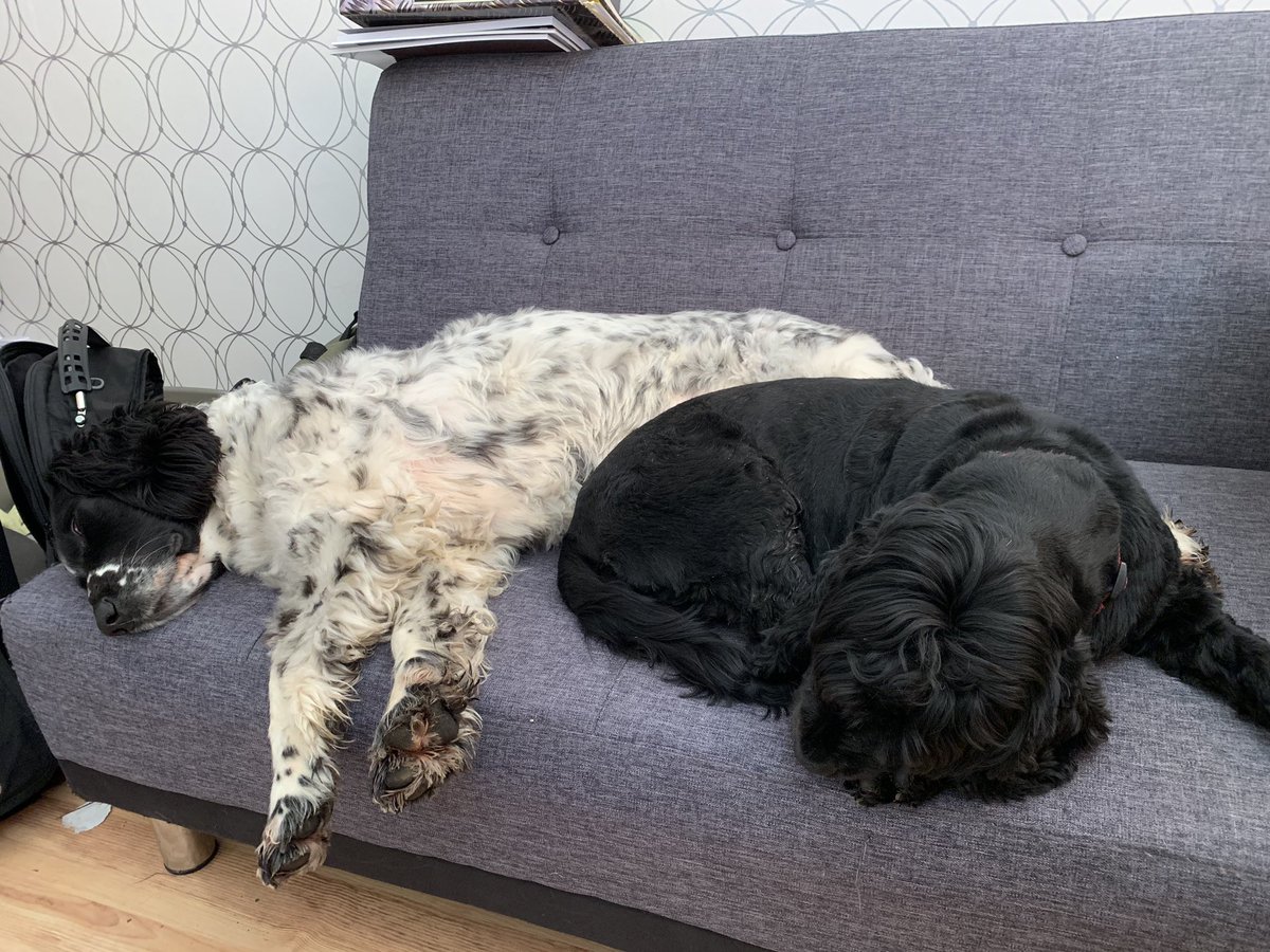 Sleeping on the job...#DontTellTheBoss