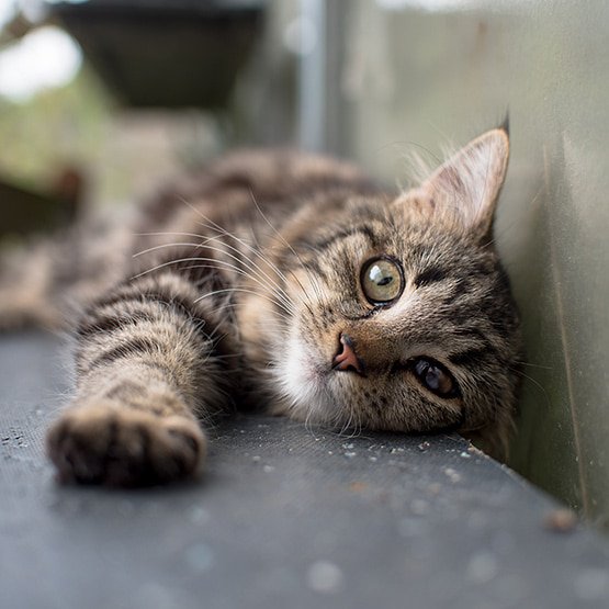 Goodwill Partnership tweet media