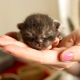 Goodwill Partnership tweet media