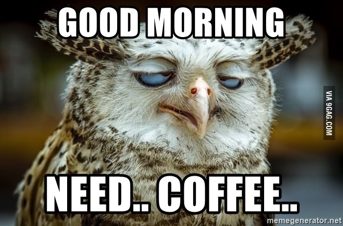 #Owl. ☕ ️☕. 2. 1. Good morning owlets! 