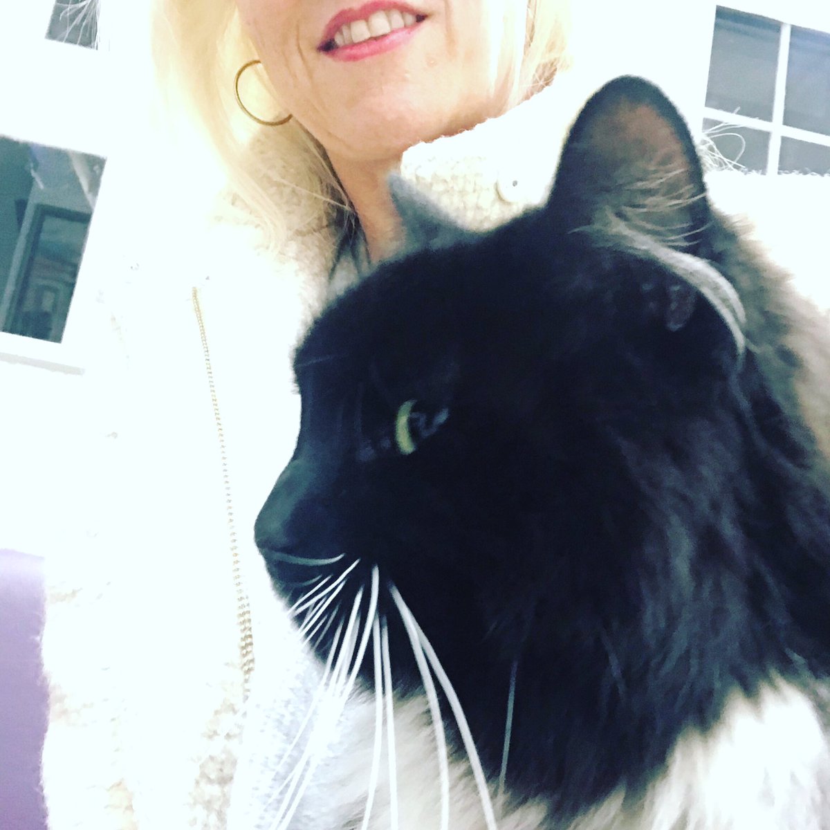 suffieldva's tweet image. A snuggle off the huddersfield train station cat #Huddersfield #huddersfieldcat #huddersfieldtrainstation #cat