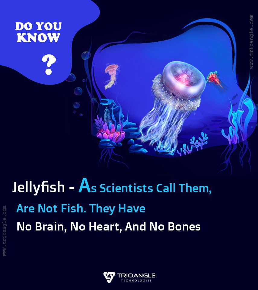 Trioangle's tweet photo. #JellyFish #DoYouKNow #Interestingfacts #Informativebites #Trioangle https://t.co/Spy9TQFl0J https://t.co/uMfxZJ8gmw
https://t.co/jzN0hcuxyZ https://t.co/POA5JncE5v