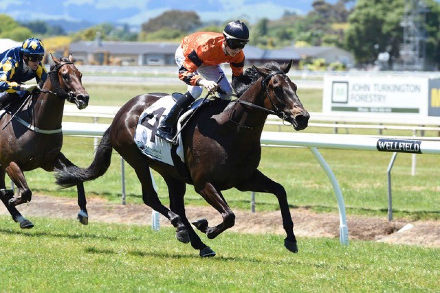 WestburyStud's tweet photo. Outstanding return to racing for #RockonWood today with the #Redwood g. coming from a hopeless position to win with ease after almost 11 months off the track! #potentialstar #oneserioushorse https://t.co/xLa7PHk8kZ