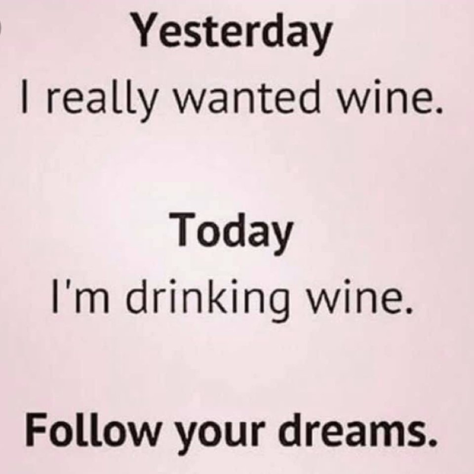 The Bench tweet media