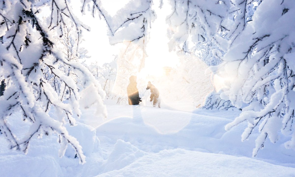 Vaasan yliopisto mukana kehittämässä pohjoisen luonnon hyvinvointivaikutuksiin perustuvaa liiketoimintaa bit.ly/2BUQ053 #greencare #nordicnabs #interreg <a href="/lapinAMK/">Lapin AMK - Lapland UAS</a> <a href="/univaasa/">University of Vaasa</a> <a href="/oamk_ouas/">Oamk</a> <a href="/LTUniv/">Luleå tekniska universitet</a>