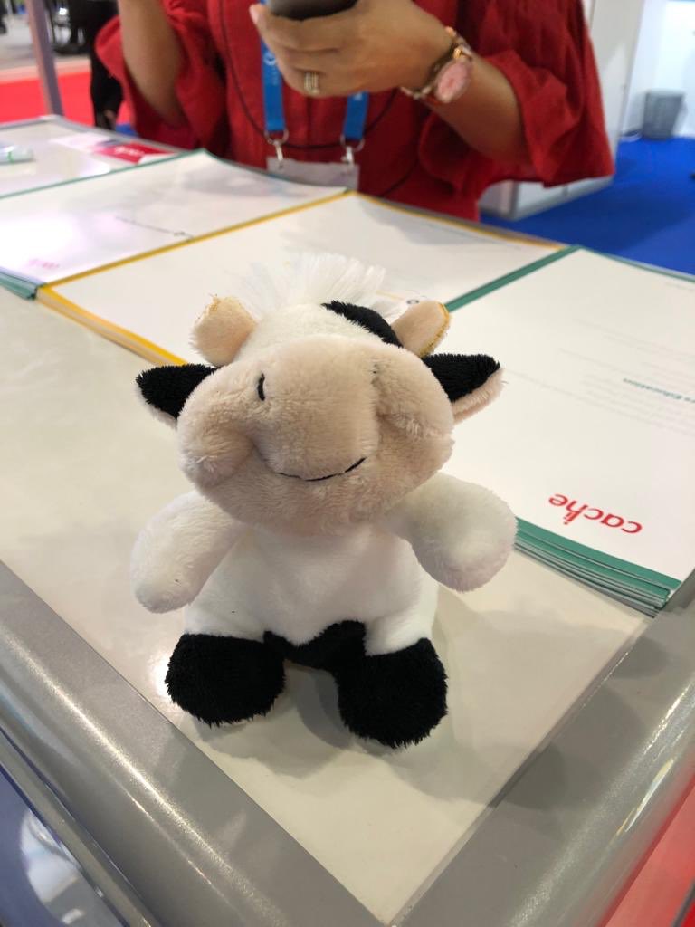 MikeNCFE's tweet photo. Come and meet the @CACHEint @NCFEGlobal Curriculum Cow on stand Q20 https://t.co/XVm5OS2gay