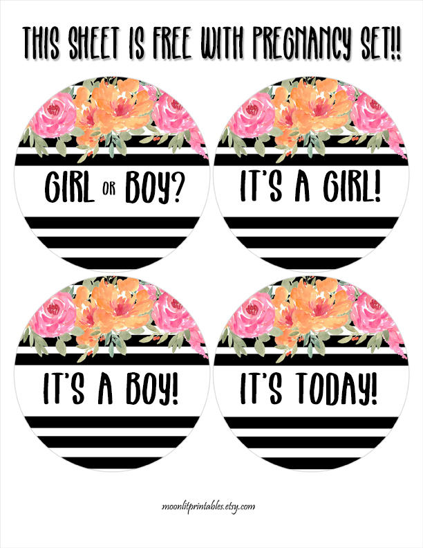 moonlitprints's tweet image. FREE GIFT, Pregnancy Stickers, Gender Reveal Stickers, Pregnancy Milestones, Weekly Pregnancy Stickers, Baby Bump Stickers  (377) tuppu.net/236acf37 #Etsy #MoonLitPrintables #PregnancyMilestone