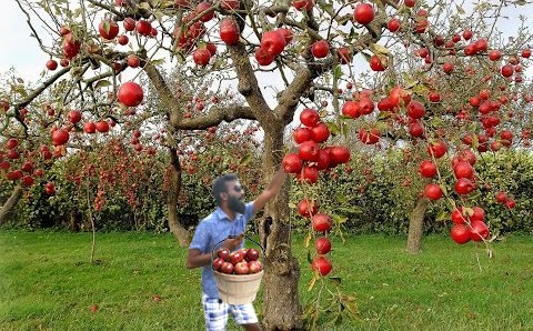 iamgayash's tweet photo. @DulanAsiri #psbattle #tclsl #Photoshopme https://t.co/97CJv22E1Q
